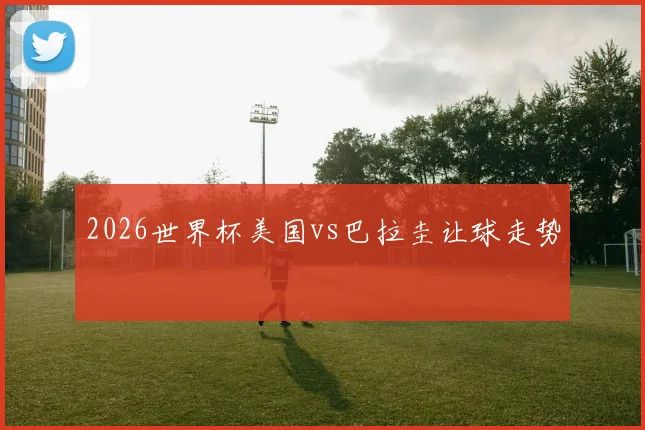 2026世界杯美国vs巴拉圭让球走势