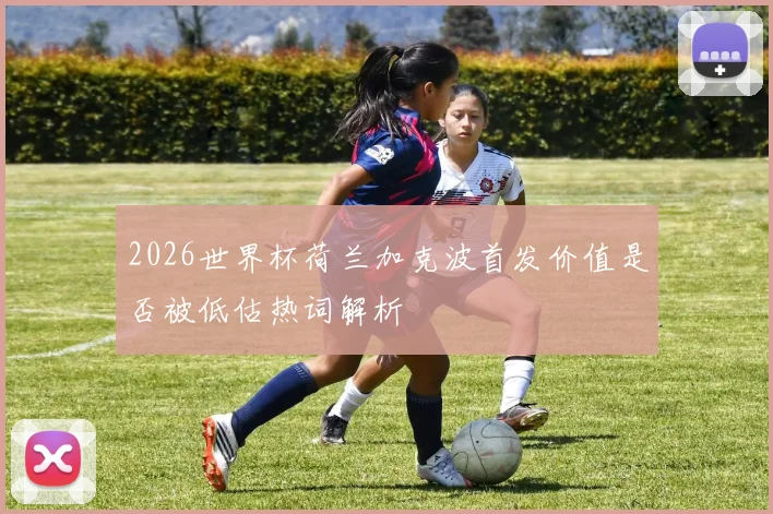 2026世界杯荷兰加克波首发价值是否被低估热词解析